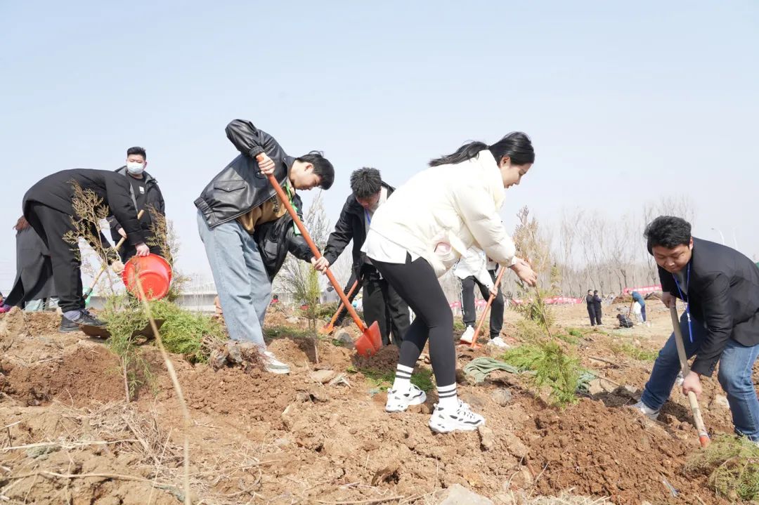 山东天时张志远服务队全民植树活动